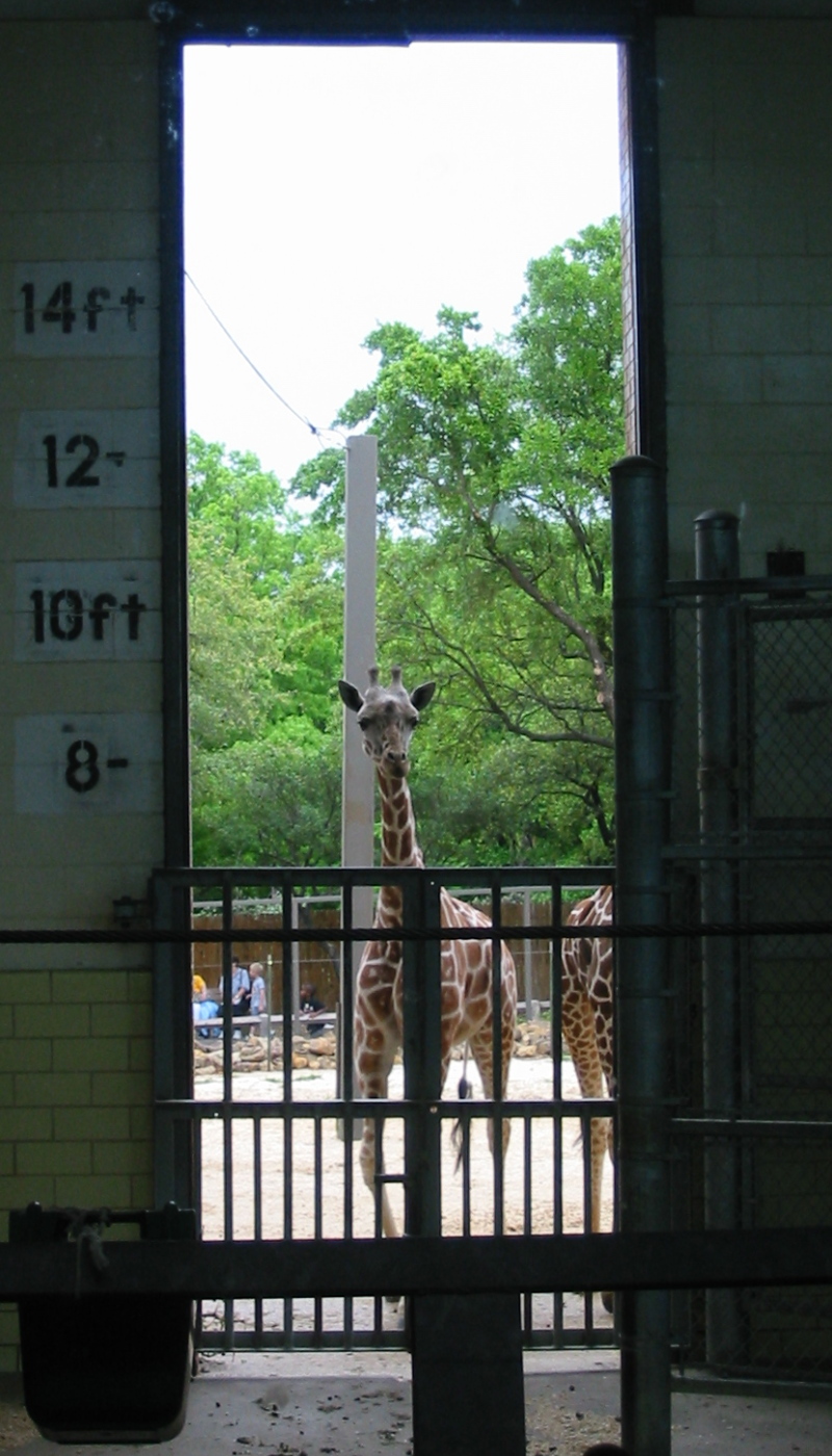 At the Zoo: Door