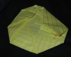 [Photo: Paper frisbee airplane]