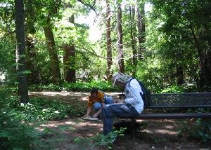 Photo: Amongst The Redwoods