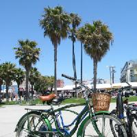 [Photo: venice beach rec area]