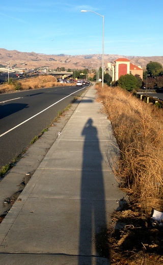 Photo: By the Southbay Freeway, Milpitas