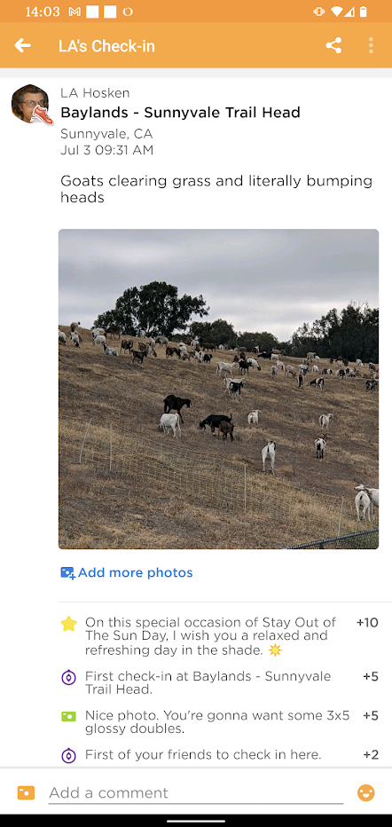screen shot of Swarm check-in with picture of goats