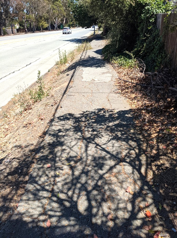 distressed yet existent sidewalk