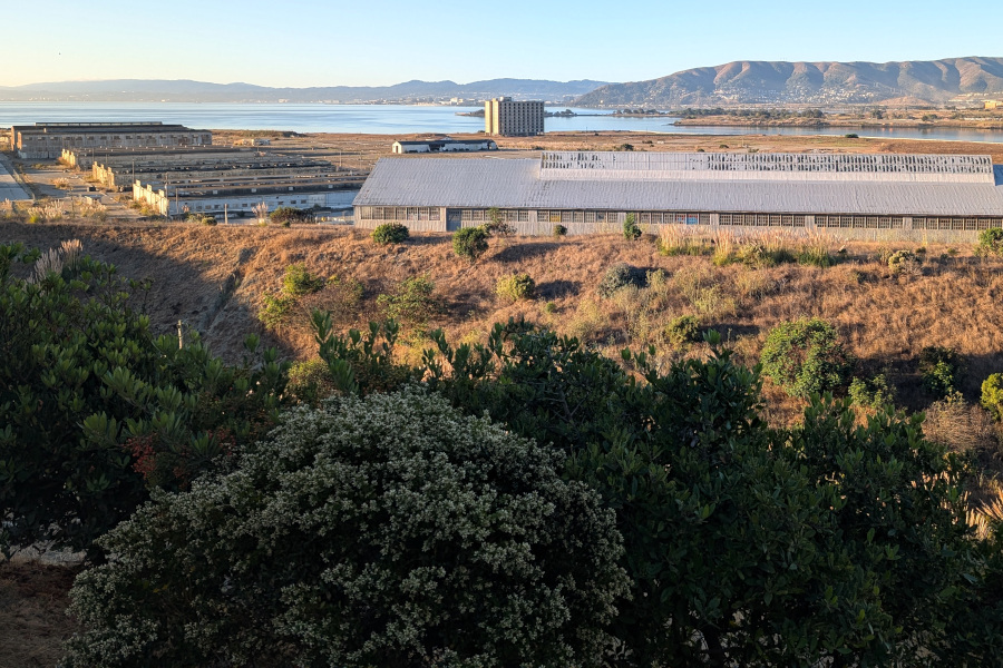 view out and down to a kinda strange tract of land out
		on the edge of the bay. It's very flat (landfill?). It looks
		much of it is paved, but weeds are bursting up through gaps
		in the pavement. There are lots of long low buildings; and one
		isolated multistory building