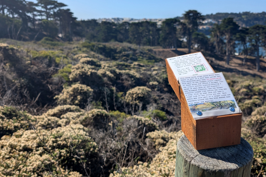 in the foreground, a split wooden block papered over with interpretive text. In the background, a hedge-covered hillside