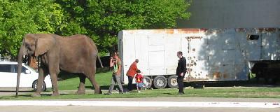 Elephant at Fair Park, Dallas