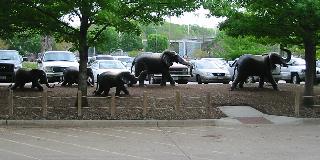 Elephant Statues at Dallas Zoo