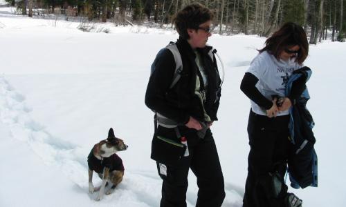 [Photo: Snowshoeing with Zeppa, Veronica and Kiem]