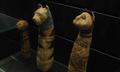 [Photo: Cat mummies]