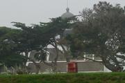 [photo: Poit Pinos Lighthouse, through the trees]