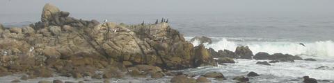 [Photo: please pardon this poorly stitched-together panorama of waves and rocks on the Monterey coast]
