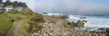 [Photo: Please pardon this poorly stitched-together panorama of plants and rocks on the Monterey coast.]