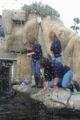 [Photo: Alisa and Michelle watch the otters while Cecilia readies the fecal net]