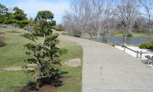 [Photo: MoBot: Japanese garden]
