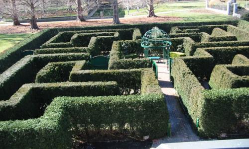 [Photo: MoBot: Hedge Maze]