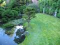 [Photo: Japanese Tea Garden Koi Pond Out Back]
