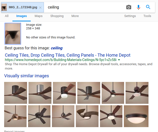 screen shot: Google thought I took a photo of a ceiling fan