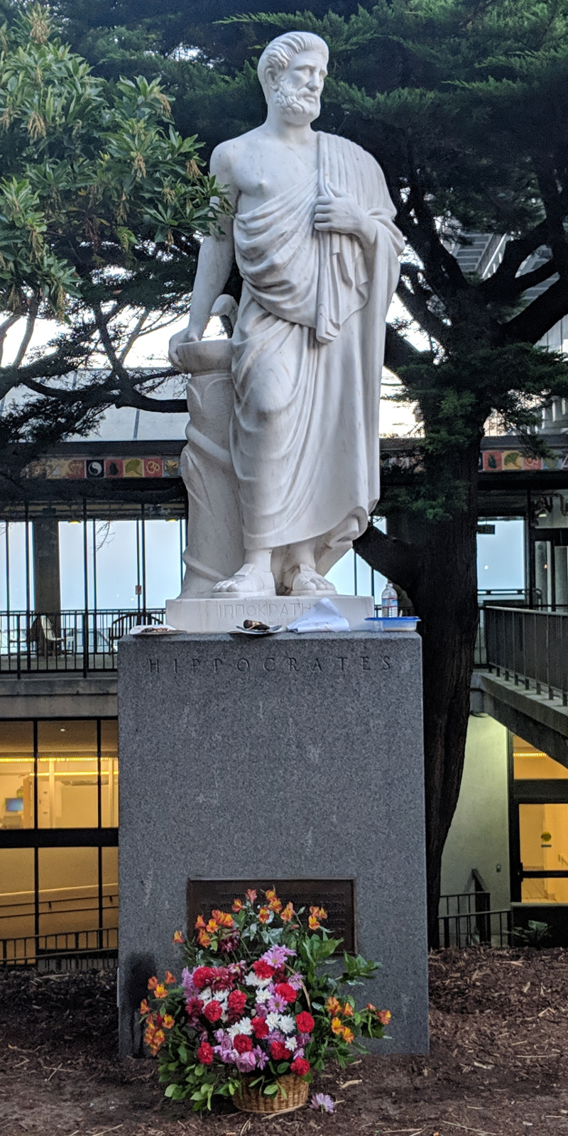 photo: statue of Hippocrates