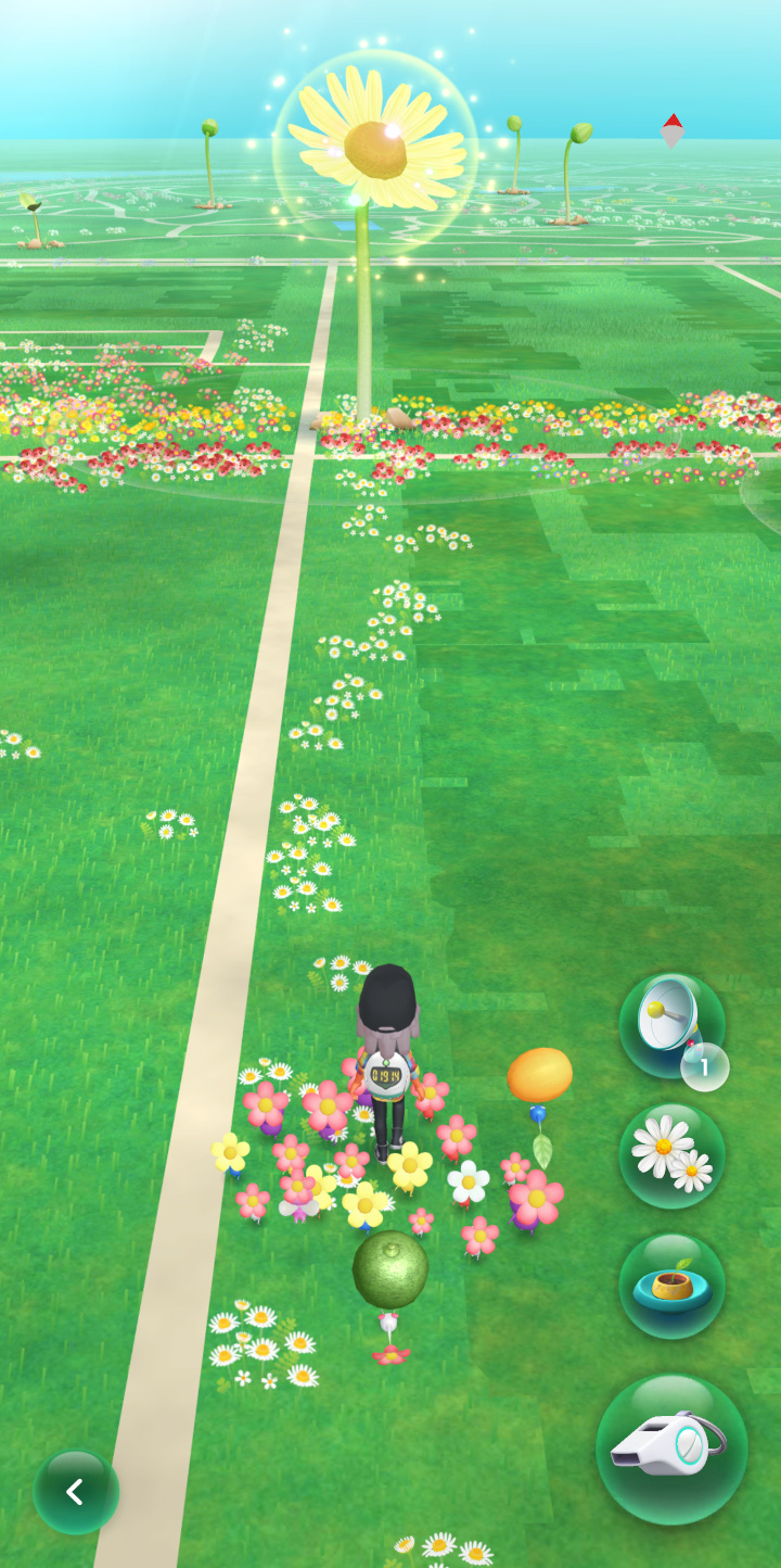 [Screen shot: a world of green grass sprinkled with flowers of various size]