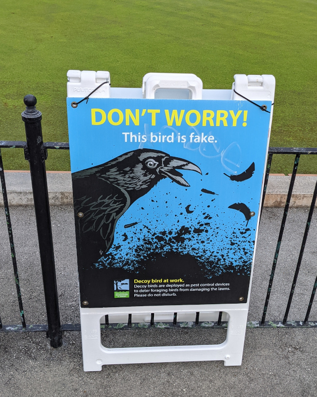 photo of sign in front of a smooth lawn-bowling lawn. Sign reads: Don't Worry / This bird is fake. / [picture of a corvid] / Decoy bird at work. / Decoy birds are deployed as pest control devices to deter foraging birds from damaging the lawns. Please do not disturb.