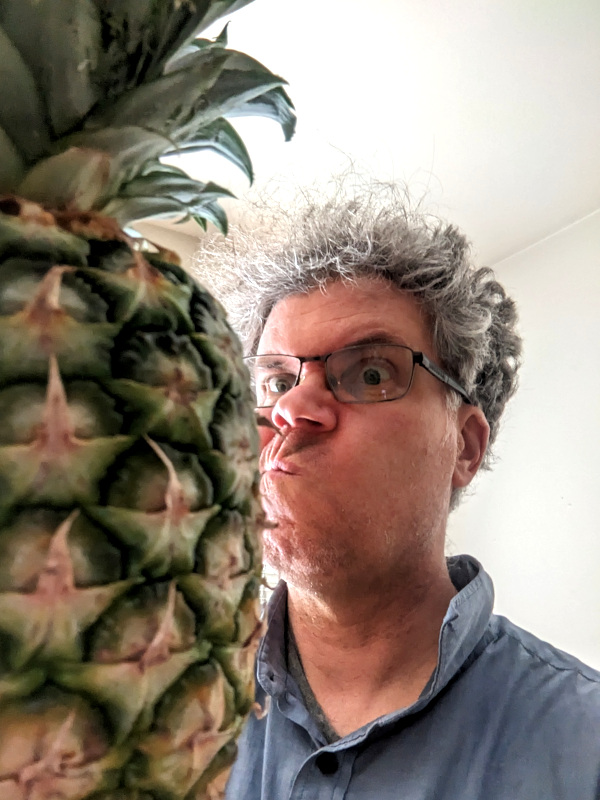 photo: the author contemplates a pineapple