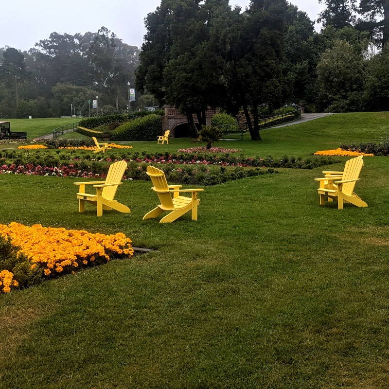 some bright yellow chairs among flower beds
