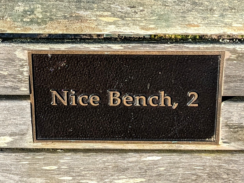 small plaque on a bench that reads, inexplicably, "Nice Bench, 2"
