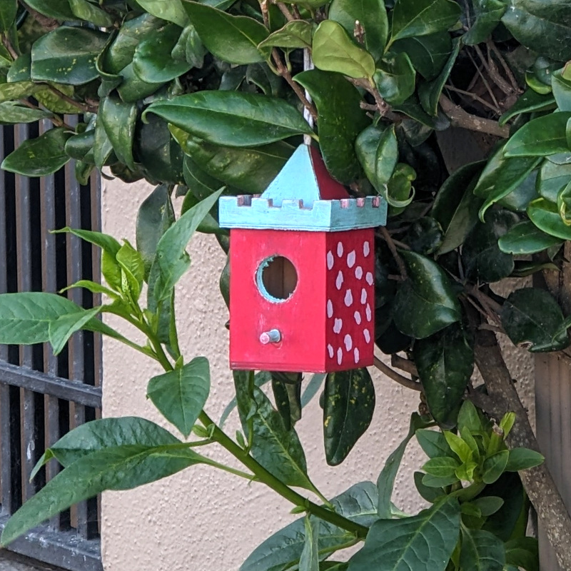teeny-tiny nicely-decorated birdhouse in a hedge by a house; the birdhouse seems unoccupied, maybe because it's pretty reach-able by cats and raccoons and such