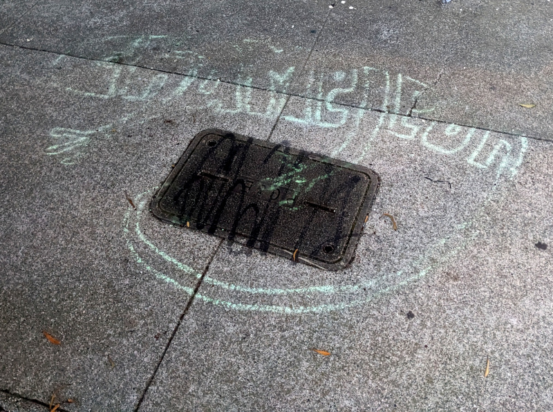sidewalk chalk art: a chameleon drawn using the letters in the word chameleon