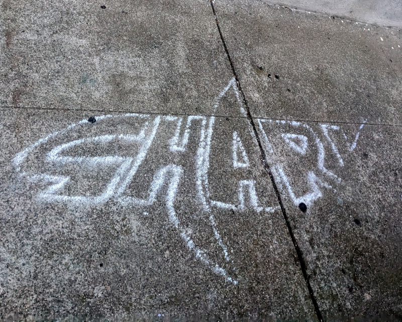 sidewalk chalk art: a shark drawn using the letters in the word shark