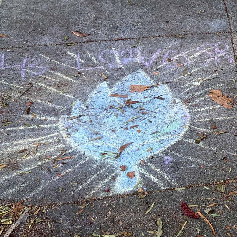 sidewalk chalk rendition of an artichoke