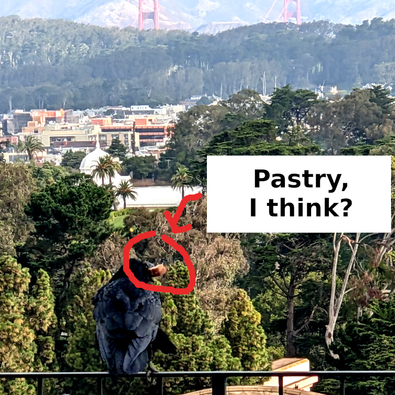 photo that's been altered with a circle and an arrow to call attention to something and some text that says 'pastry, i think?'. Original photo had a crow (or raven? I'm not a corvid expert) in the foreground with something in its beak; in the background you can see bits of Golden Gate Park, the Richmond District, the Presidio and a couple of smidgens of the Golden Gate Bridge