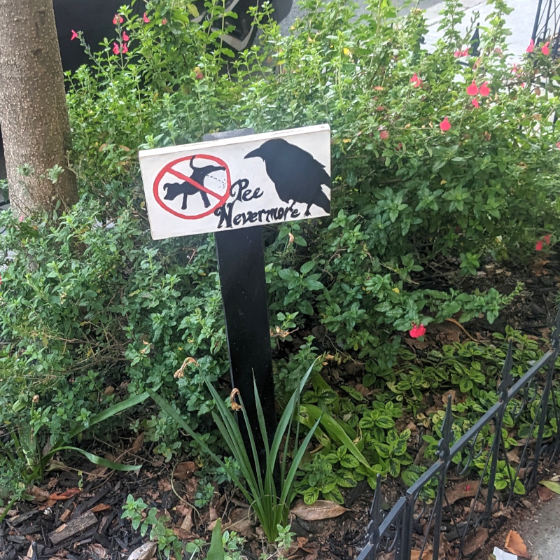 planted area on sidewalk with a sign to discourage dogs. The sign depicts a 🚫-ed out peeing dog and a raven silhouette with caption: Pee nevermore