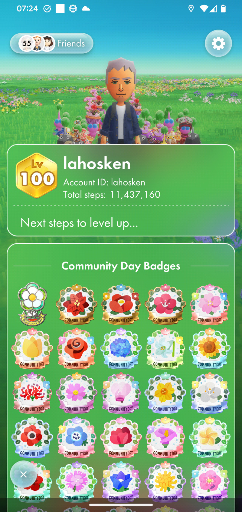 screen shot of game screen. At the top, a picture: a Mii (Nintendo game avatar) surrounded by Pikmin (insect-like creatures) stands in a field of flowers. Below, a badge reads 'Lv 100'. Also there's a bunch of achievement badges and other knickknacks