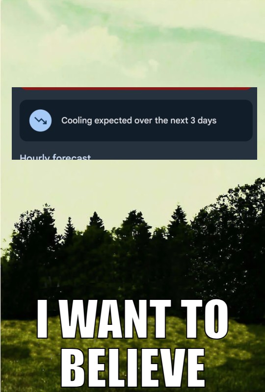 image meme: it's like that X-Files 'I Want to Believe' poster, but the UFO has been replaced by part of a screen shot from a weather app that just says '📉 Cooling expected over the next three days'