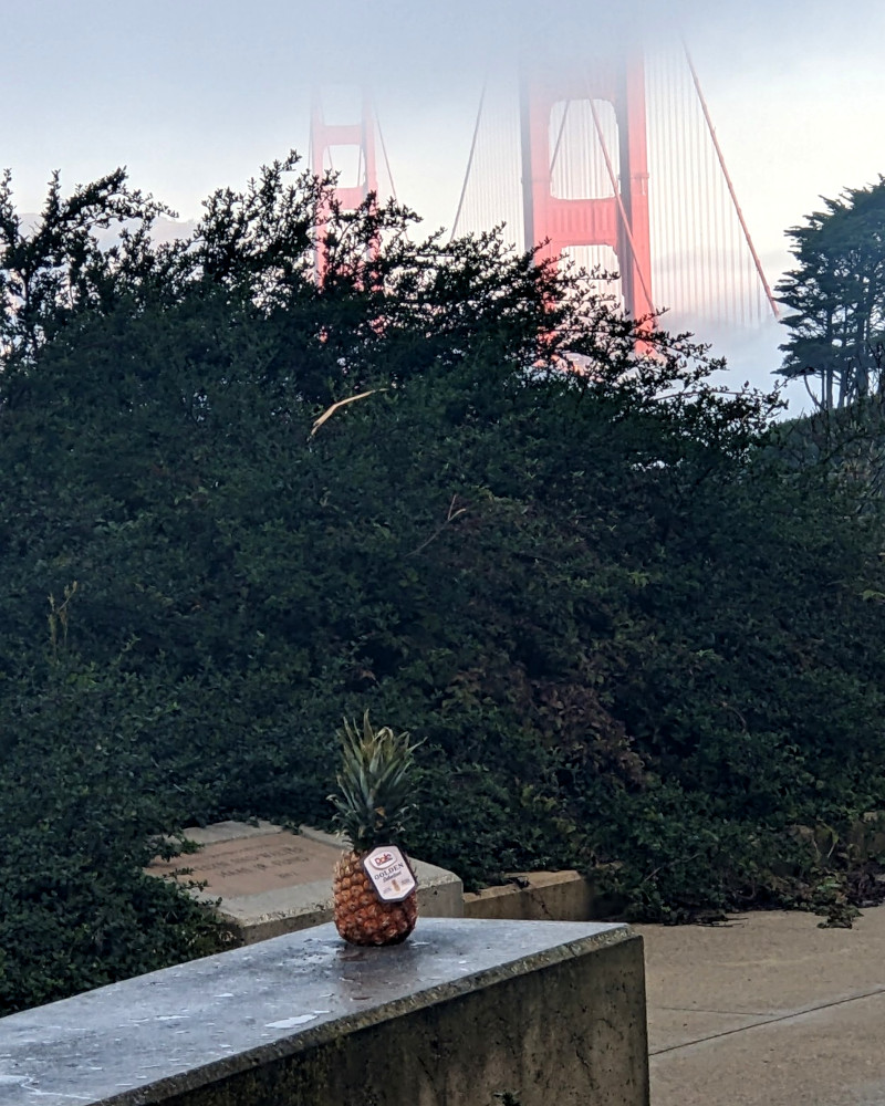 Foreground: pineapple on a cement barrier; background: Golden Gate Bridge and fog