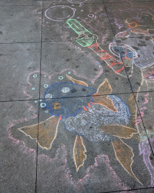 sidewalk chalk art. zooming in on one of the fish