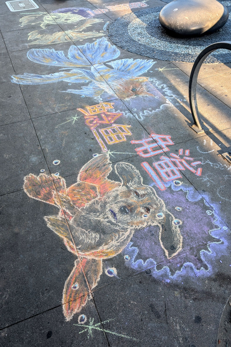 sidewalk chalk art. There's a lot going on here. There's some Chinese text I don't know enough to translate, sorry. Nearby, there is a sort of dog-goldfish chimera swimming; the dog head exhales some bubbles. Further back, there is a fish-cat chimera, also blowing bubbles. Furthest away, a fish-panda chimera.