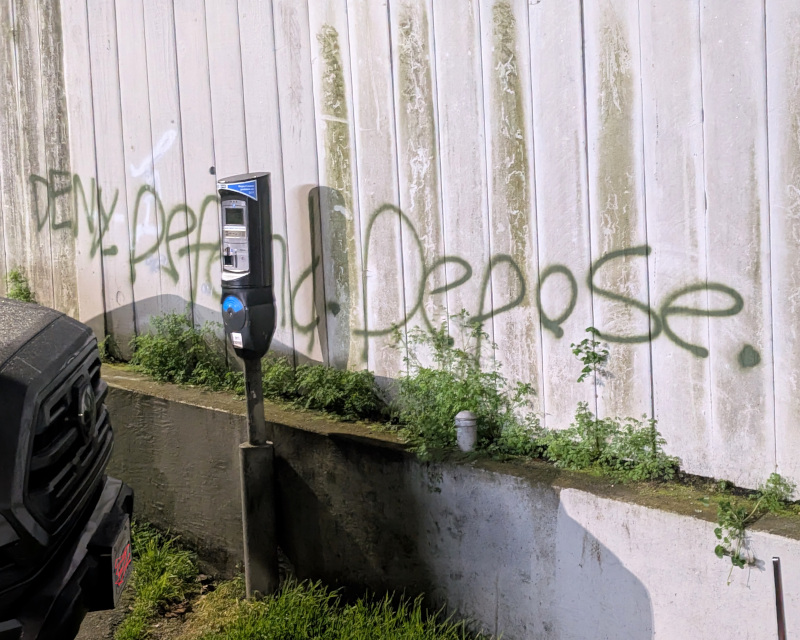 graffito on a fence, partly obscured by a parking meter. the fence is kind of mold-y (lichen-y? mildew-y? whatever it is that grows on outdoor surfaces in damp San Francisco) and weeds grow at its base; the green graffiti paint kinda matches the green of the plant life. The graffito's text: Deny. Defend. Depose.