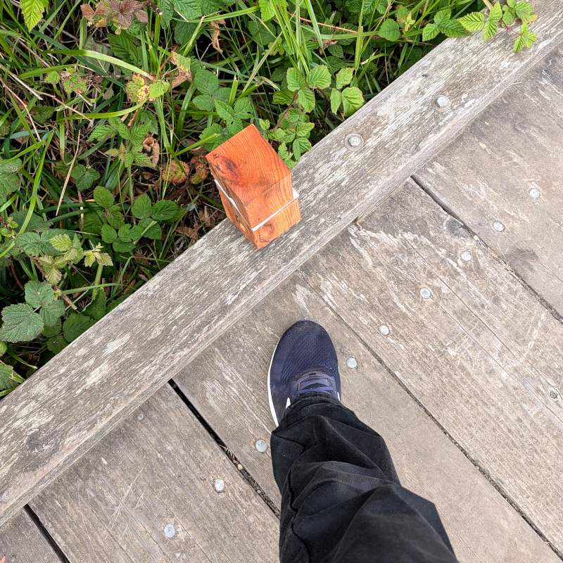 looking down at edge of boardwalk at a little box. there is a foot in the picture, perhaps for scale