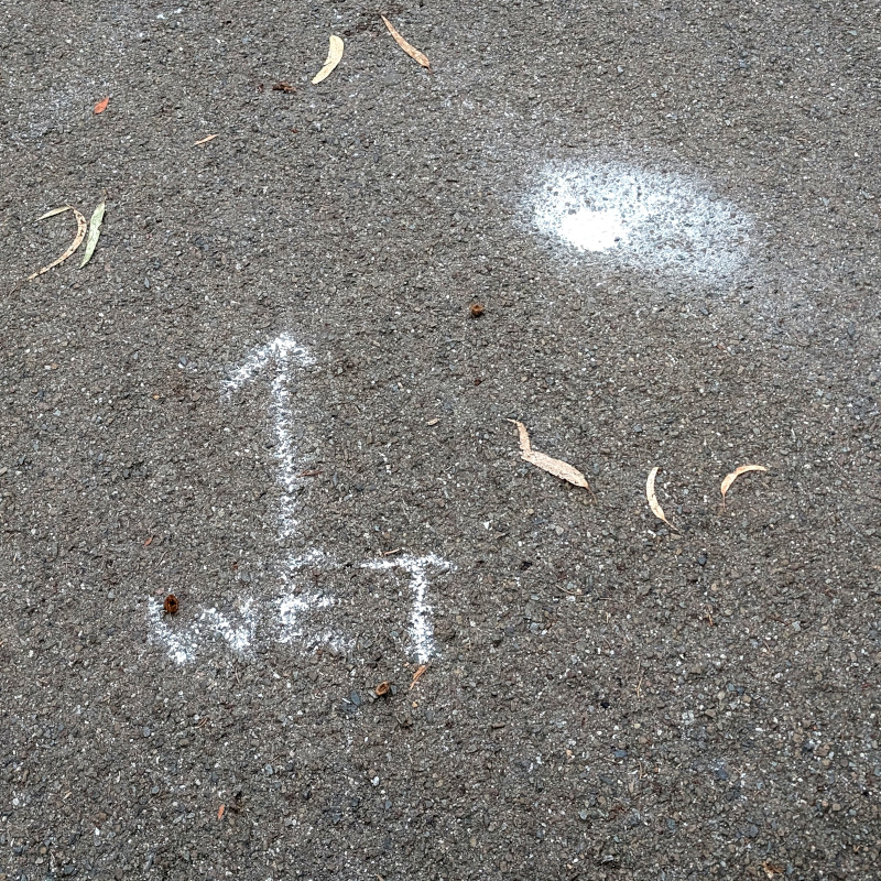 chalk marks on pavement: "↑ WET". More subtly, there is a clump of chalk dust nearby