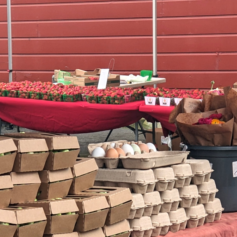 Cropped shot at Sunset farmer's market, still setting up. In the foreground: eggs, despite the nation's shortage. In the background, strawberries