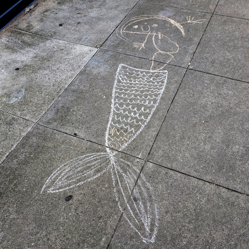 sidewalk chalk art: an easily-recognizable fish tail connects to a human-ish figure seemingly drawn by someone still new to drawing