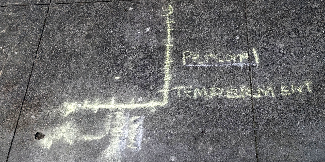 sidewalk chalk graffito shows a graph with two axes and no obvious data points or lines or what-have-you. The y axis is labeled "Personal Temperment" (sic). The x axis was labeled, but the chalk has long since been scuffed and is now unreadable