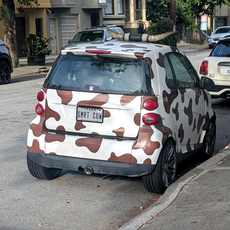 rear view of a smart car painted with a jersey cow pattern. it has horns on top. its license plate is Texas SMRT COW