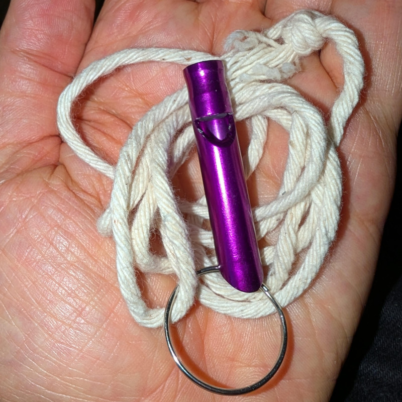 shiny purple metal whistle attached to some string