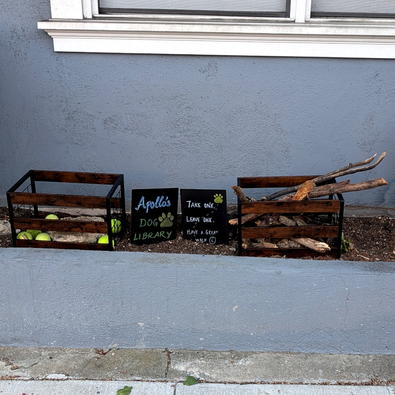 planter area in front of a house with no plants, just dirt. there are a couple of crates, one with tennis balls and one with sticks. there are a couple of signs. One says that this is Apollo's Dog Library. The other says Take One, Leave One, Have a Great Walk