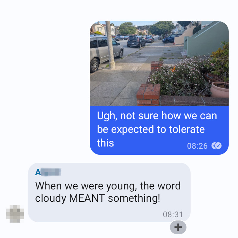 Screen shot of group chat. I posted a pic of a quiet street scene with note "Ugh not sure how we can be expected to tolerate this". A--- replied: "When we were young, the word cloudy _meant_ something!" 
