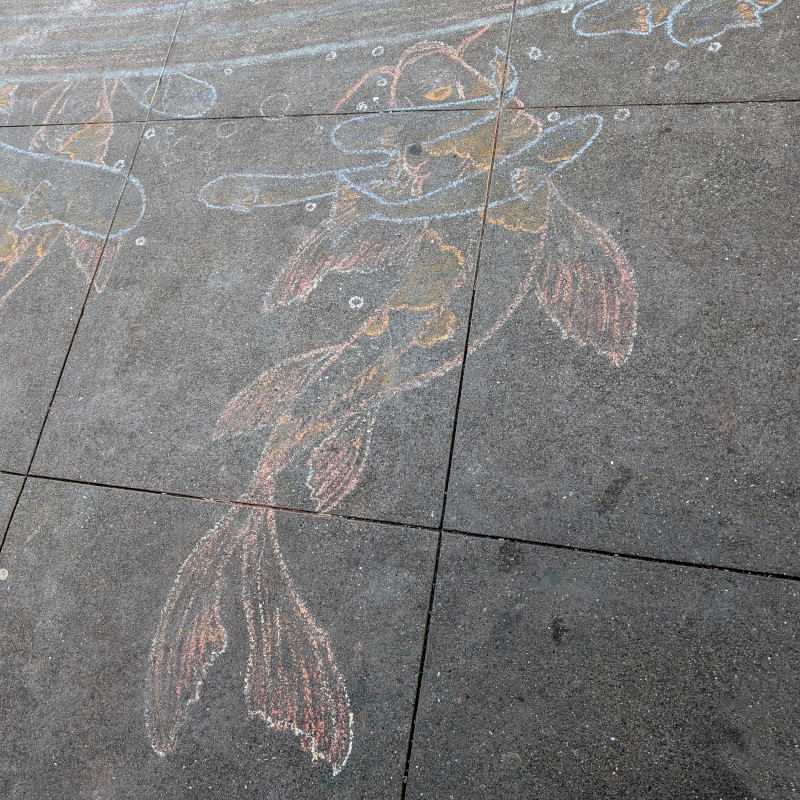 sidewalk chalk art, alas pretty scuffed: A fish swims towards the surface of a pond