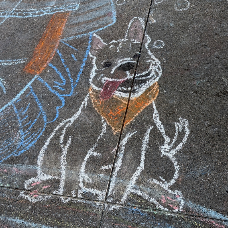 sidewalk chalk art: A sitting puppy with lolling tongue